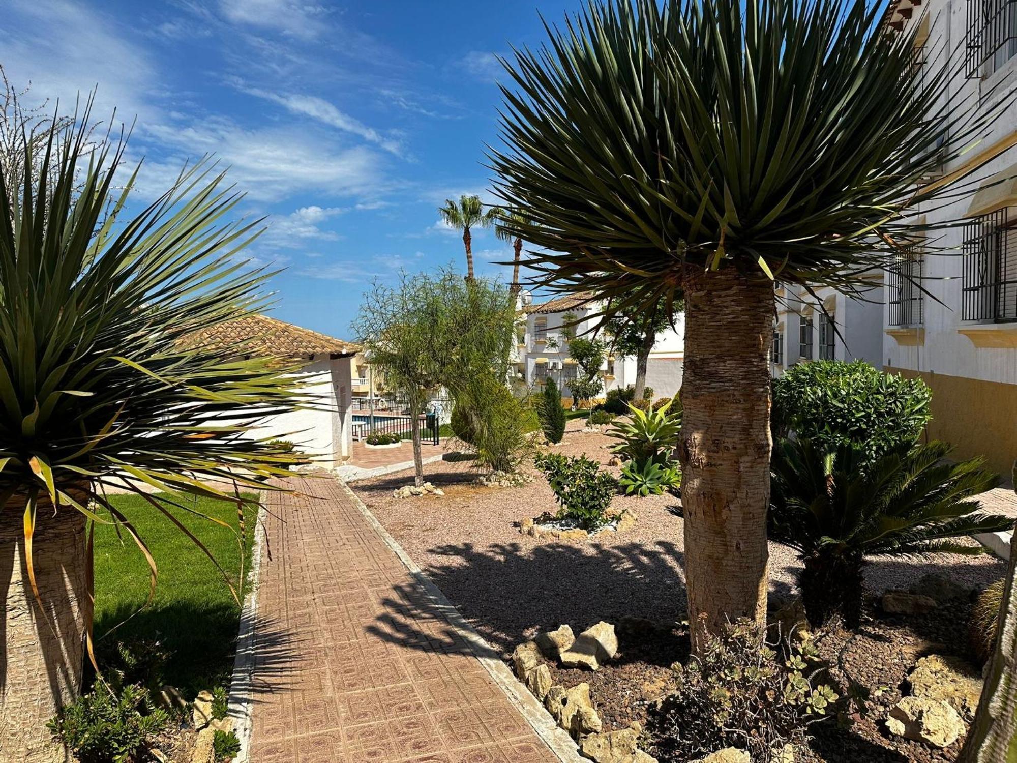 Las Carolinas Residence With Pool San Miguel De Salinas Ngoại thất bức ảnh